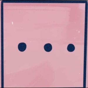 Meet your Posher, Danyssa